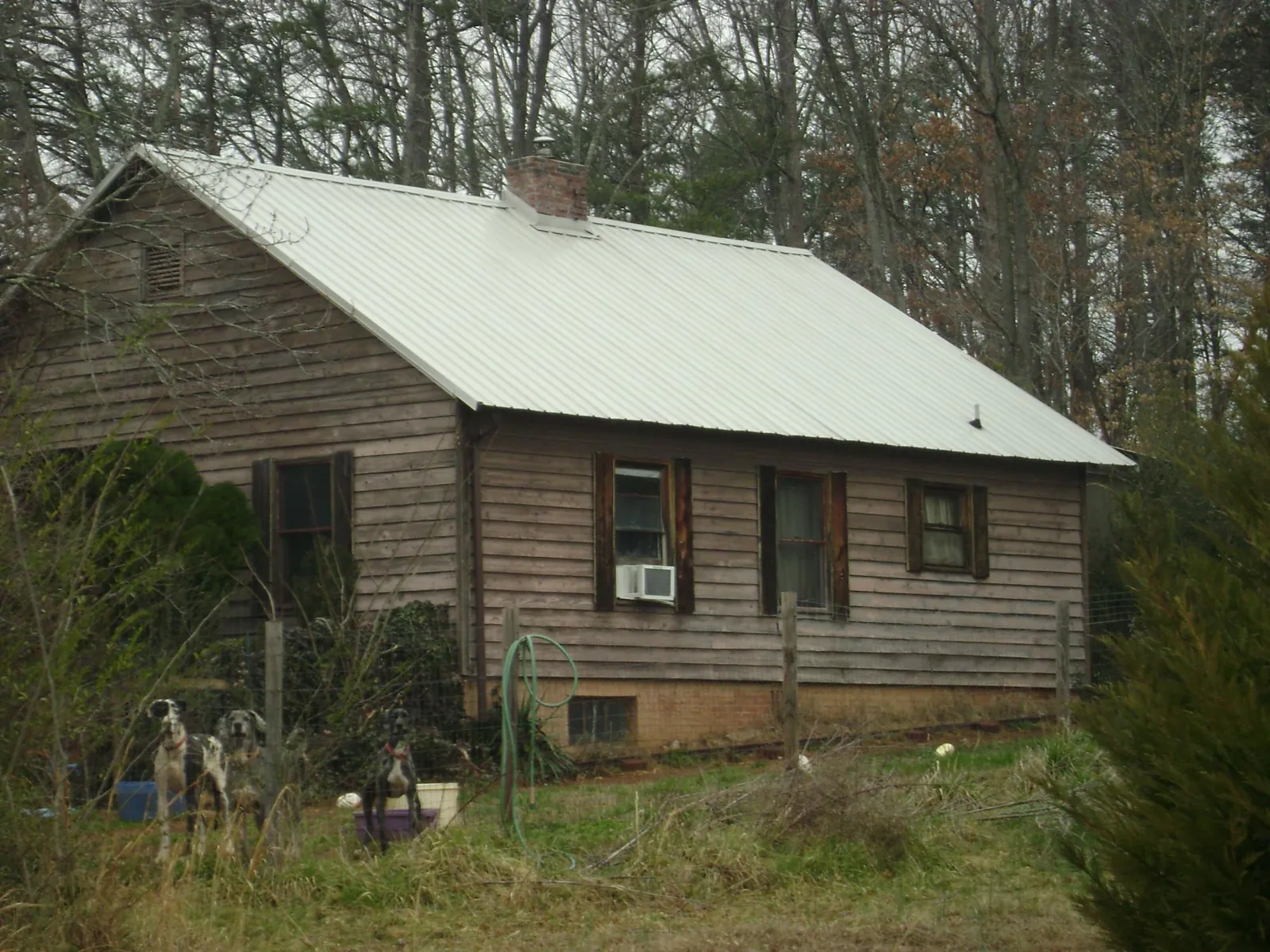 White metal roof on an old wood sided farmhouse, from a Asphalt Shingle Roof Repair job in Maywood